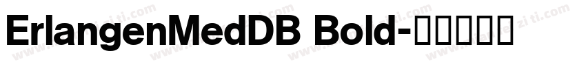 ErlangenMedDB Bold字体转换